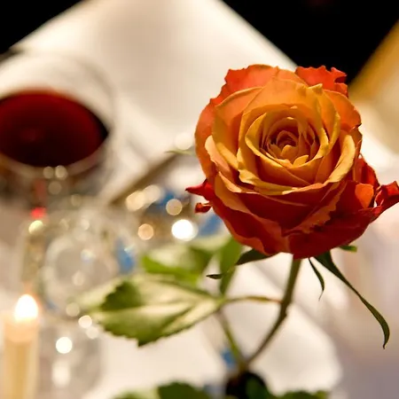 Отель Cresta Sun 4*